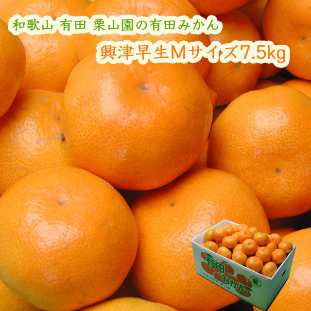 栗山園の有田みかん興津早生