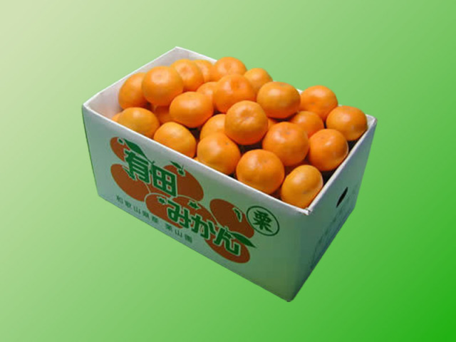 栗山園の興津早生