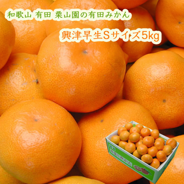 栗山園の有田みかん興津早生