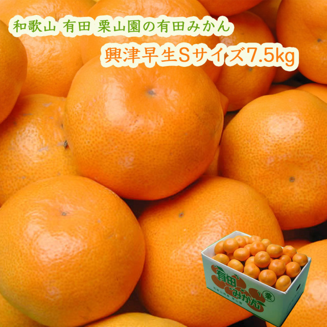 栗山園の有田みかん興津早生