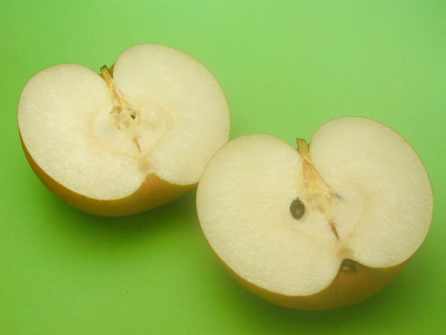 中谷農園の梨秋月