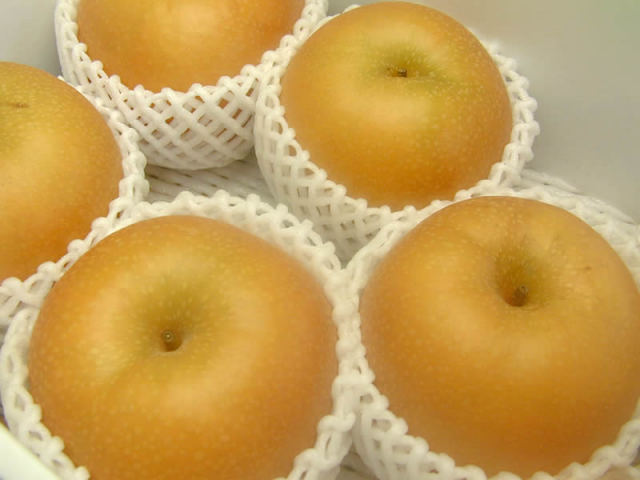 中谷農園の梨秋月