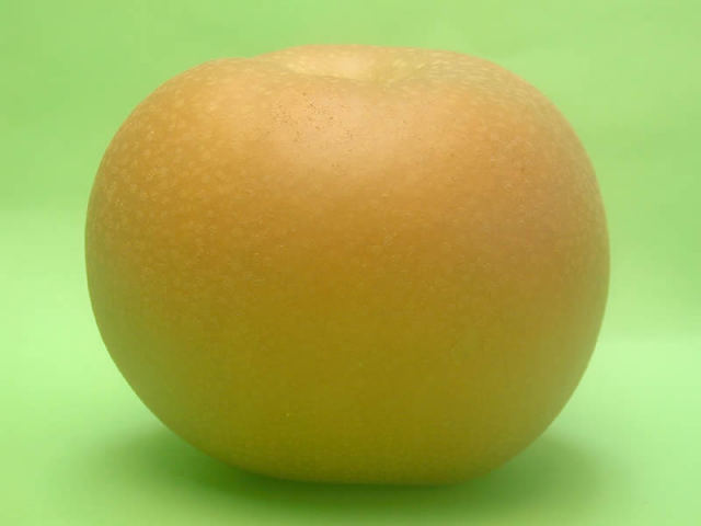 中谷農園の梨秋月