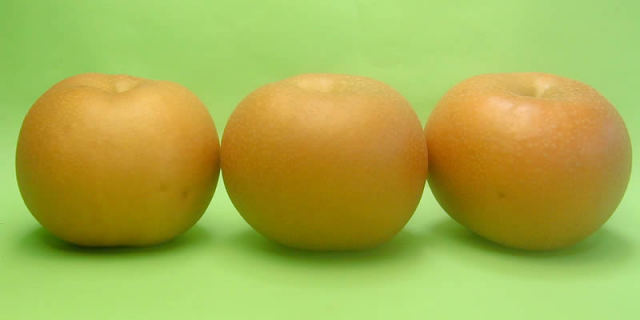 中谷農園の梨秋月