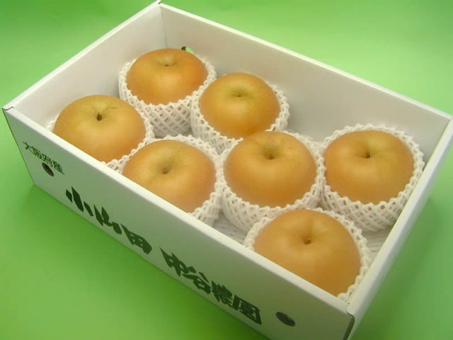 中谷農園の梨秋月