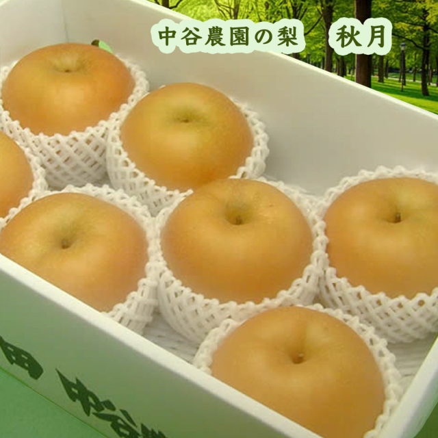 中谷農園の梨秋月