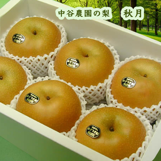 中谷農園の梨秋月