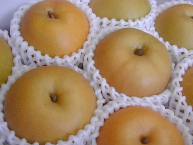 中谷農園の梨　幸水