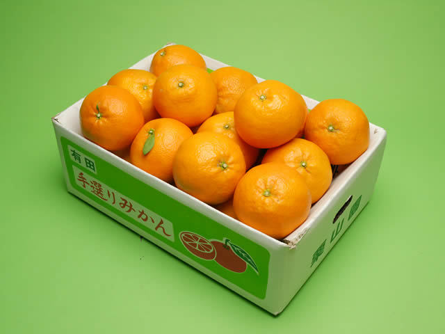 栗山園のポンカン