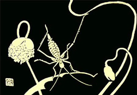 伊藤若冲　黒と金の世界　ランチョンマット