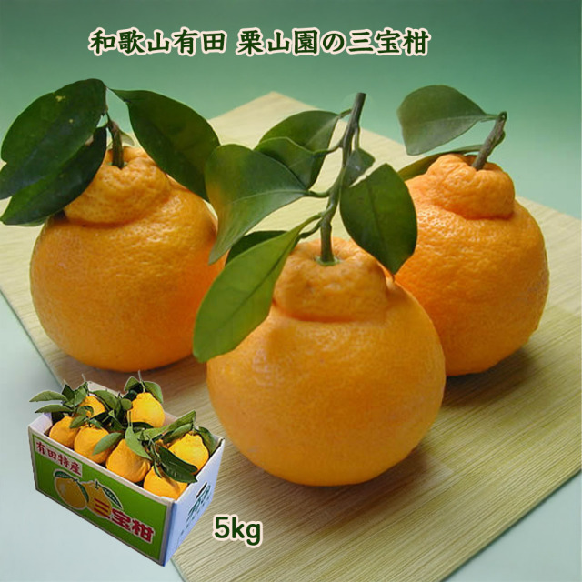 和歌山有田栗山園の三宝柑