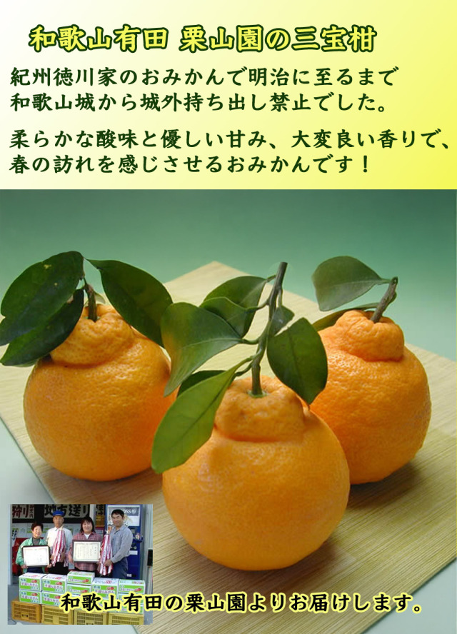 栗山園のみかん・オレンジ