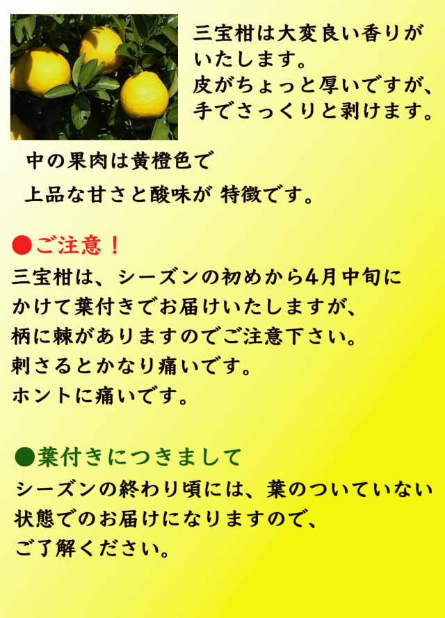 栗山園のみかん・オレンジ