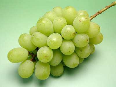 田中ぶどう園のぶどう