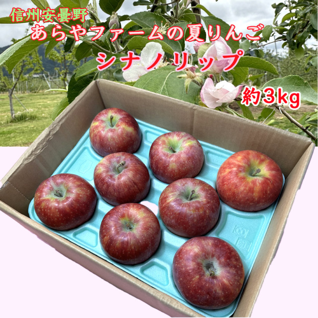 あらやファームの夏りんごシナノリップ