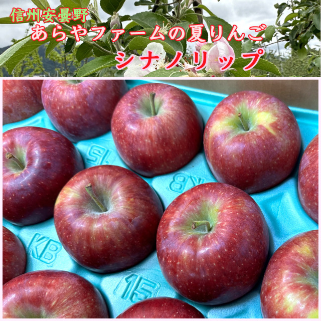 あらやファームの夏りんごシナノリップ