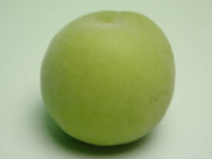 かつらぎ町の梅