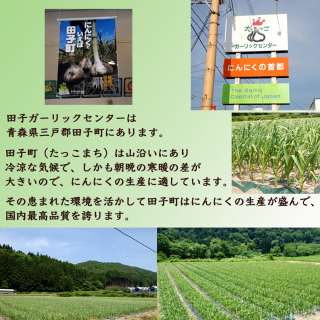 田子町説明
