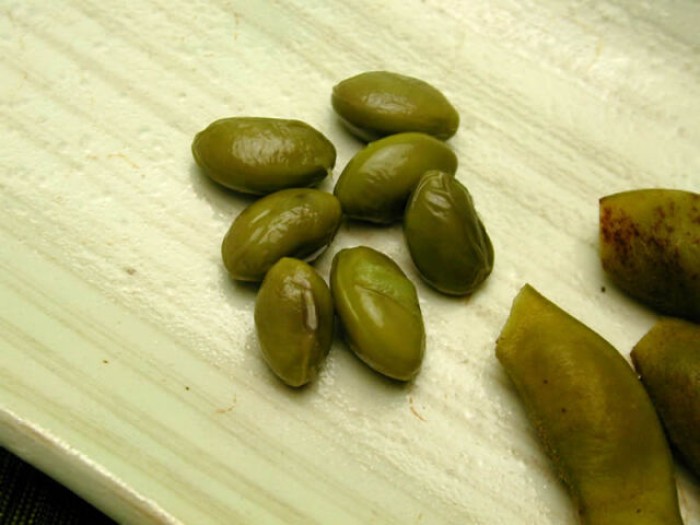 赤井農産の丹波黒豆枝豆若さや