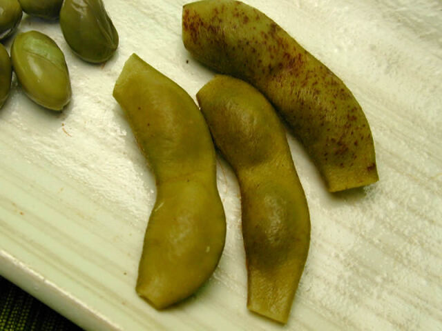 赤井農産の丹波黒豆枝豆若さや