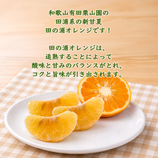 みかんさま 専用 CLマジック ラベンダー 限定】ボールペン [0.7mm] リトルツインスターズ ラベンダー S4658175