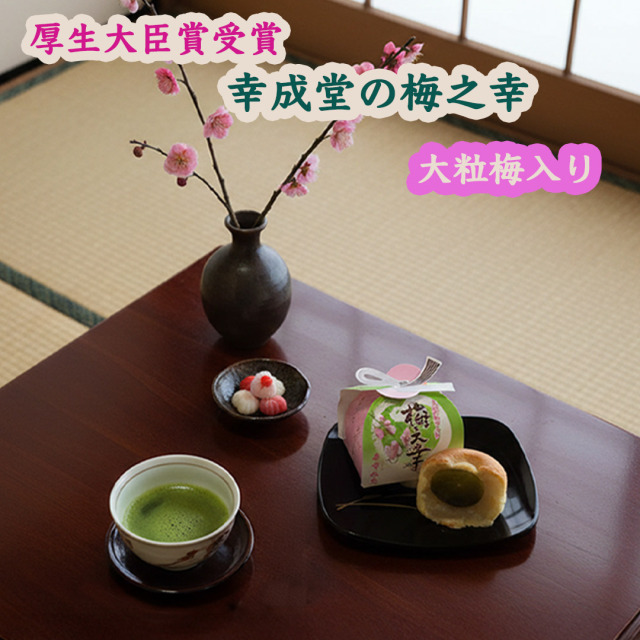 幸成堂の梅之幸