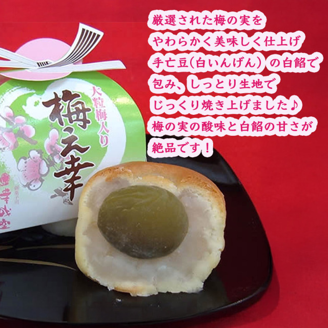 幸成堂の梅之幸