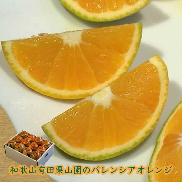 2箱セット贈答用 国産バレンシアオレンジ LL 4kg 和歌山県有田みかん 栗山園の国産バレンシアオレンジ 4kg 個包装 送料無料(沖縄1000円