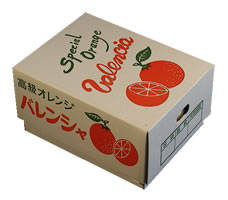栗山園の国産バレンシアオレンジ 4kg 個包装 送料無料(沖縄1000円