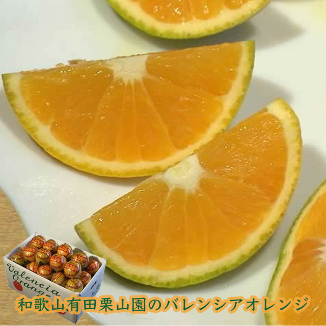 栗山園の国産バレンシアオレンジ7kg 個包装 送料無料(沖縄1000円