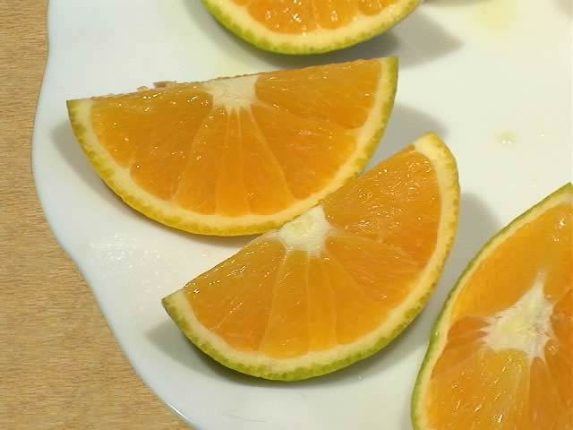 贈答用 LL 平箱 2箱セット 国産バレンシアオレンジ 11個入り 有田みかん 贈答用 LL 平箱 国産バレンシアオレンジ 11個入り お中元 有田