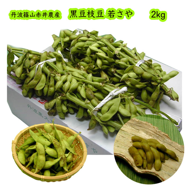 赤井農産の丹波黒大豆枝豆若さや