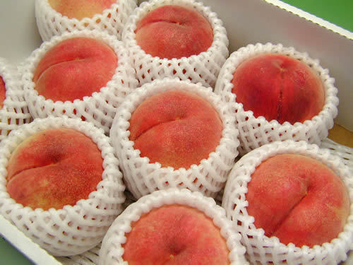 山形東根伊藤農園の桃