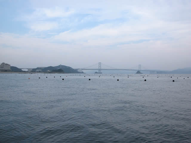 山畠海産の鳴門わかめ