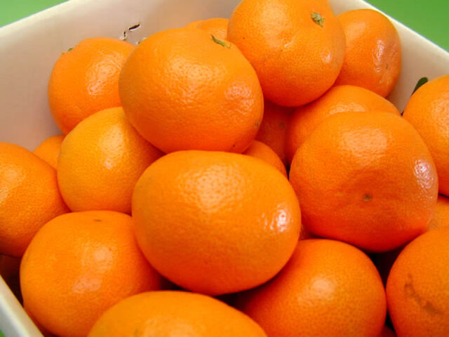 栗山園の有田みかん宮川早生