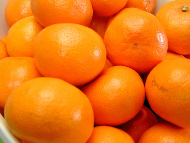 栗山園の有田みかん宮川早生