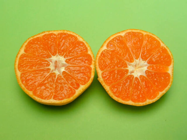 栗山園の有田みかん由良早生