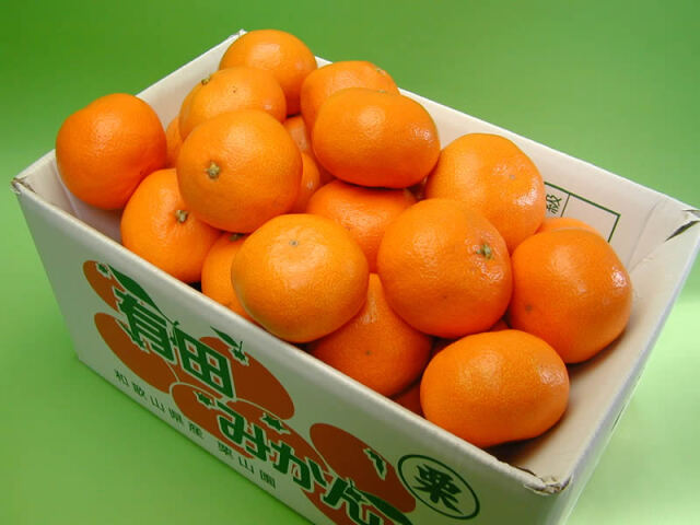 栗山園の有田みかん 宮川早生 7.5kg Lサイズ【送料無料（沖縄は1000円