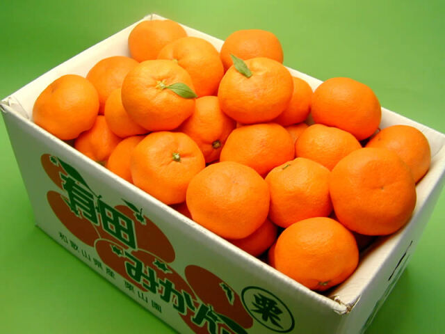栗山園の有田みかん 宮川早生 7.5kg Mサイズ【送料無料（沖縄は1000円