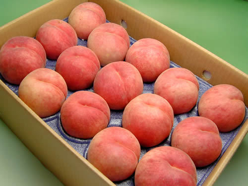 山形東根伊藤農園の桃