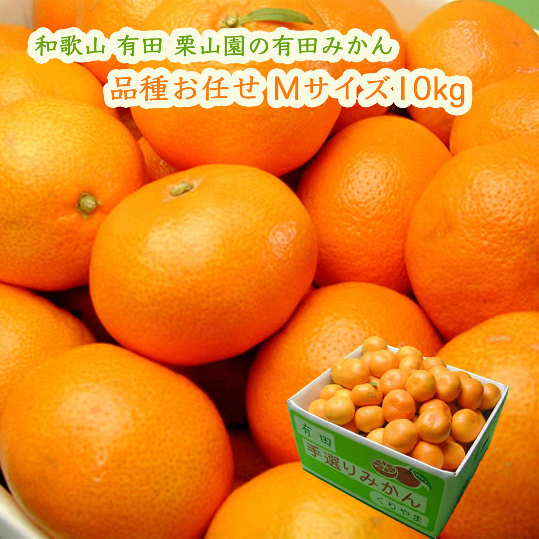 栗山園の有田みかん品種お任せ