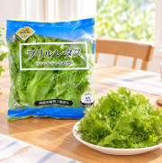 大阪堺植物工場フリルレタス