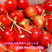 さくらんぼ紅秀峰500g