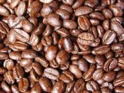 島野珈琲株式会社のコーヒー豆