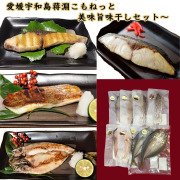 愛媛宇和島_淵こもねっと