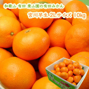 栗山園の有田みかん宮川早生