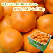 栗山園の有田みかん興津早生