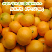 栗山園の由良早生