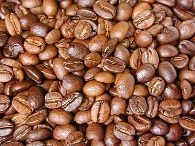 島野珈琲株式会社のコーヒー豆