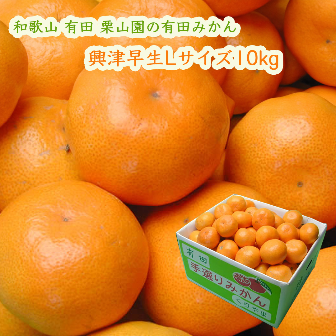 栗山園の有田みかん興津早生